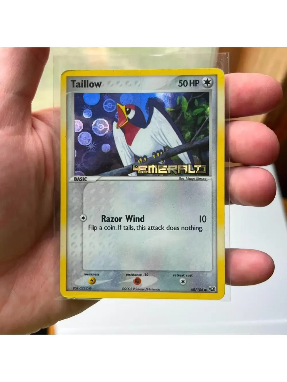 Taillow 50 HP 68/106 - EX Emerald Reverse Holo - Razor Wind - Authentic
